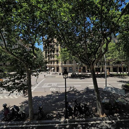 Barcelona Central Park II Luaran gambar