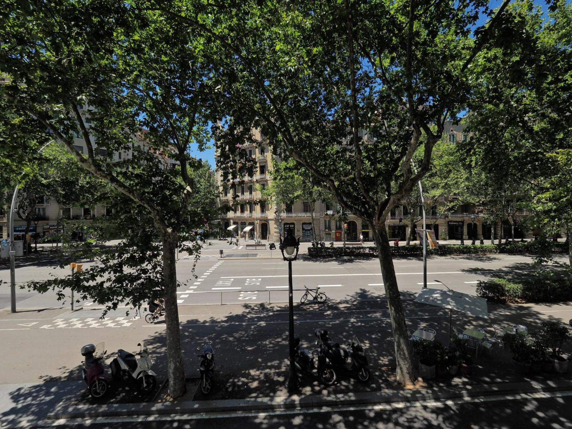 Barcelona Central Park II Luaran gambar